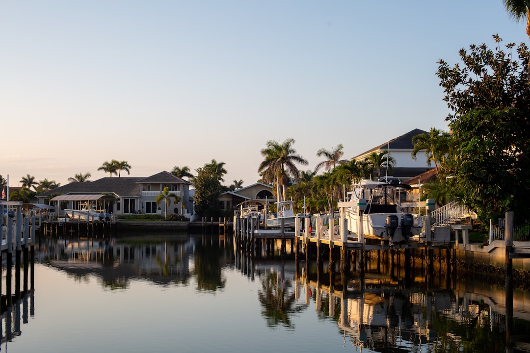 Florida homeowner reviewing their reduced property tax bill reflecting Save Our Homes savings.