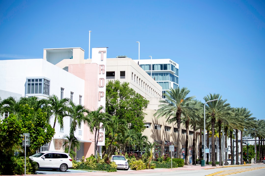 Investor reviewing real estate appreciation and rental data for a Florida property