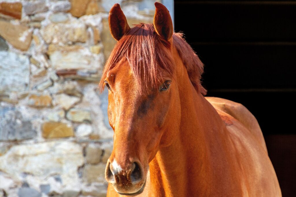 Equestrian estate in Wellington Florida with private barn and riding ring