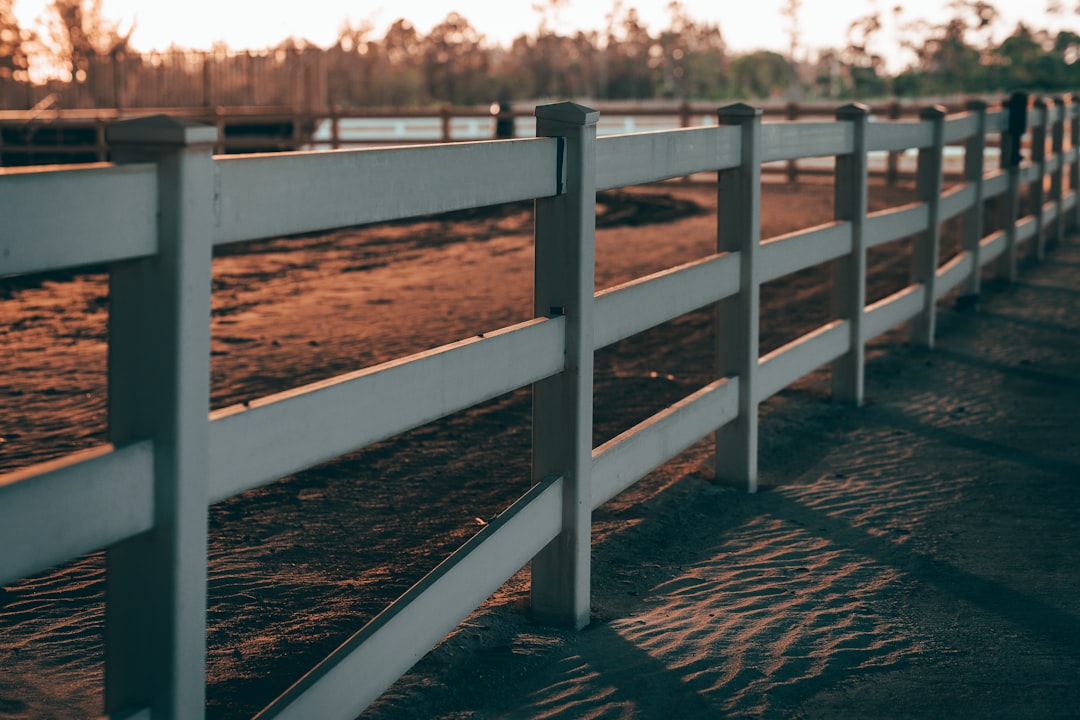 Horse farm with white board fencing and open pasture in Wellington, Florida
