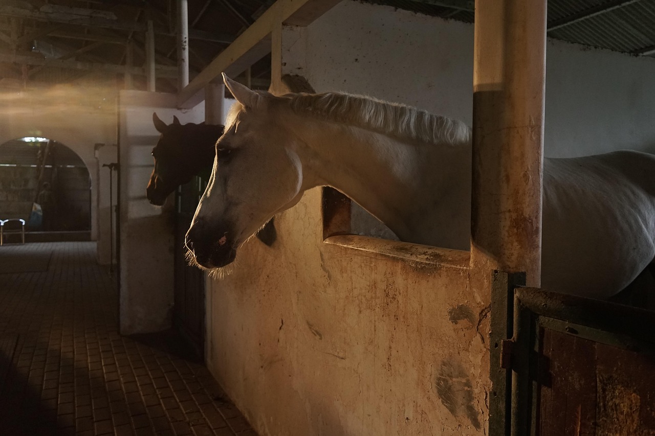 Interior of a luxury center-aisle horse barn on a Wellington Florida equestrian estate