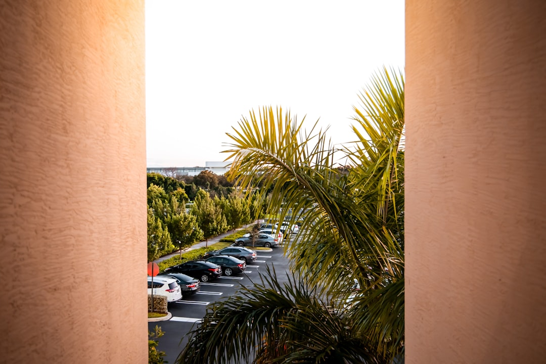 Relocation buyers moving into a new luxury home in South Florida