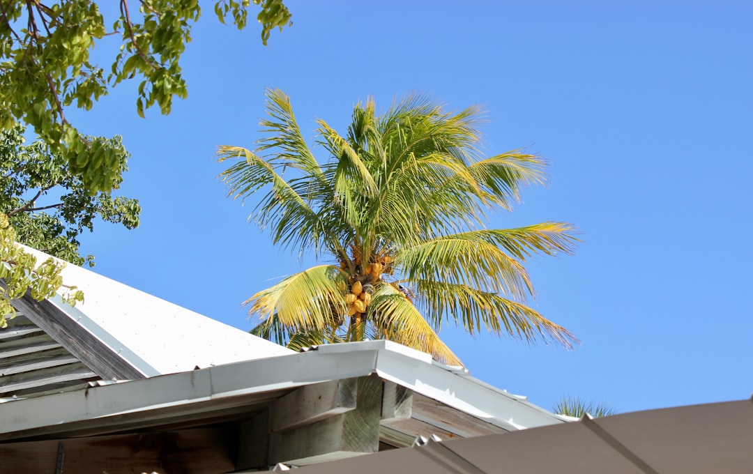 Wind mitigation roof inspection on a Florida luxury home