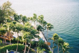 Luxury waterfront estate under a banyan tree canopy in Coconut Grove, Miami