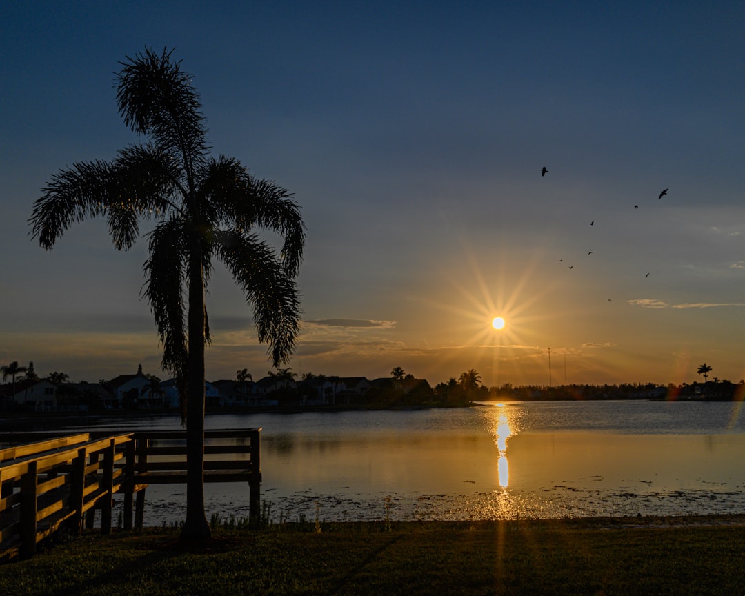 Luxury Florida waterfront estate with pool, private dock, and seawall along a canal at sunset