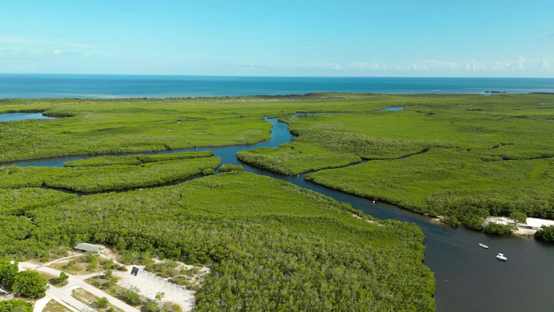 Aerial drone view of a Florida waterfront estate with open, undeveloped acreage