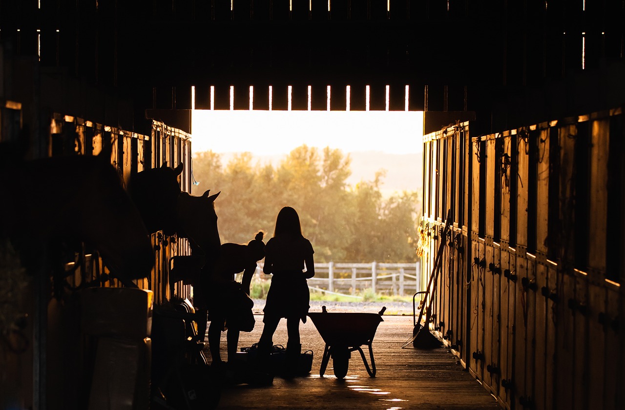 Equestrian estate with horse barn and open pasture in Wellington, Florida