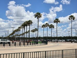 Florida commercial retail plaza illustrating gross and modified gross lease structures.